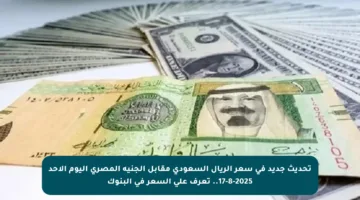 تحديث جديد في سعر الريال السعودي مقابل الجنيه المصري اليوم الأحد 17-8-2025.. تعرف على السعر في البنوك